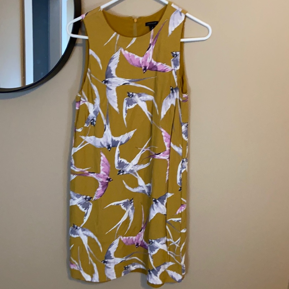 Ann taylor shift dress